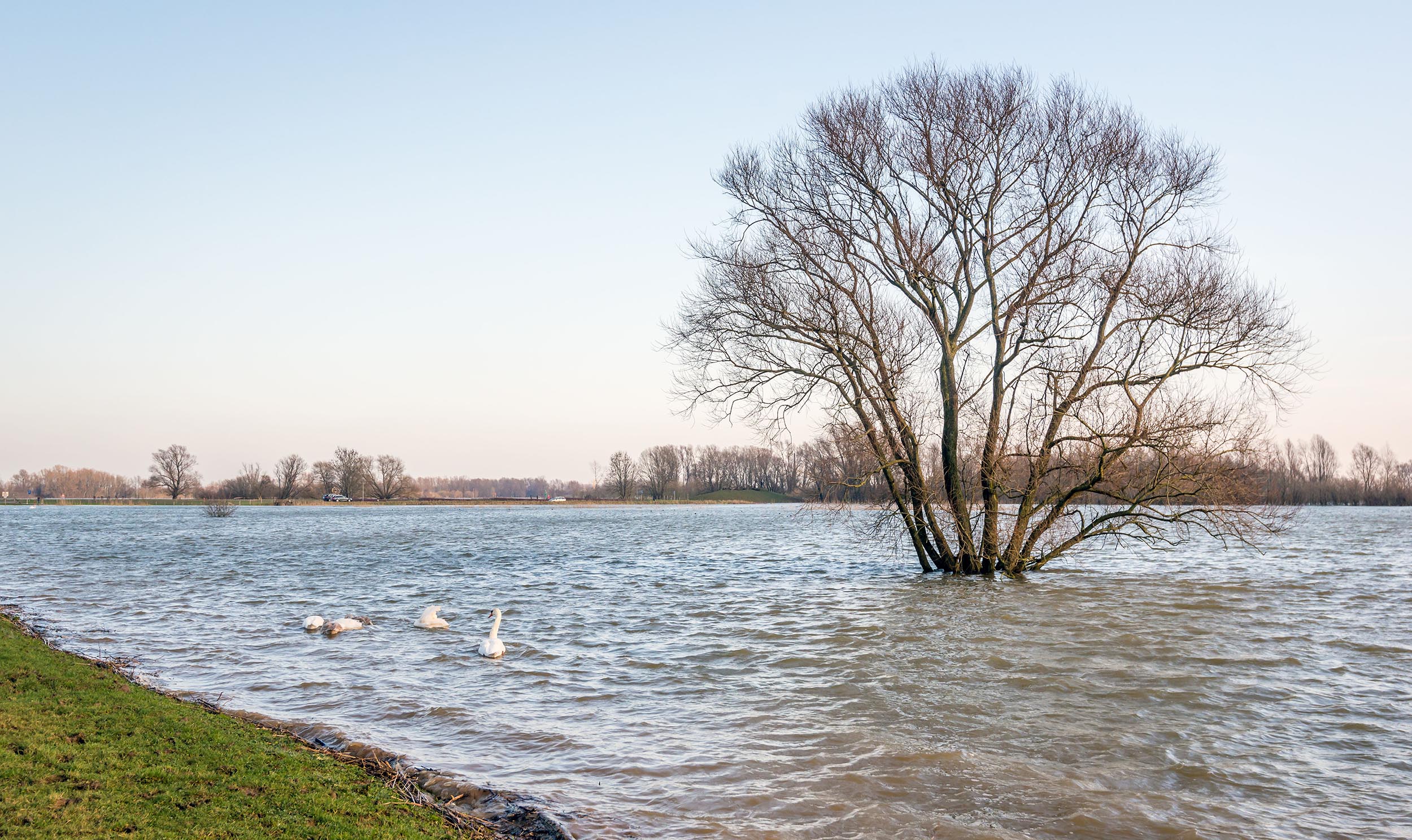 Foto van een waterberging