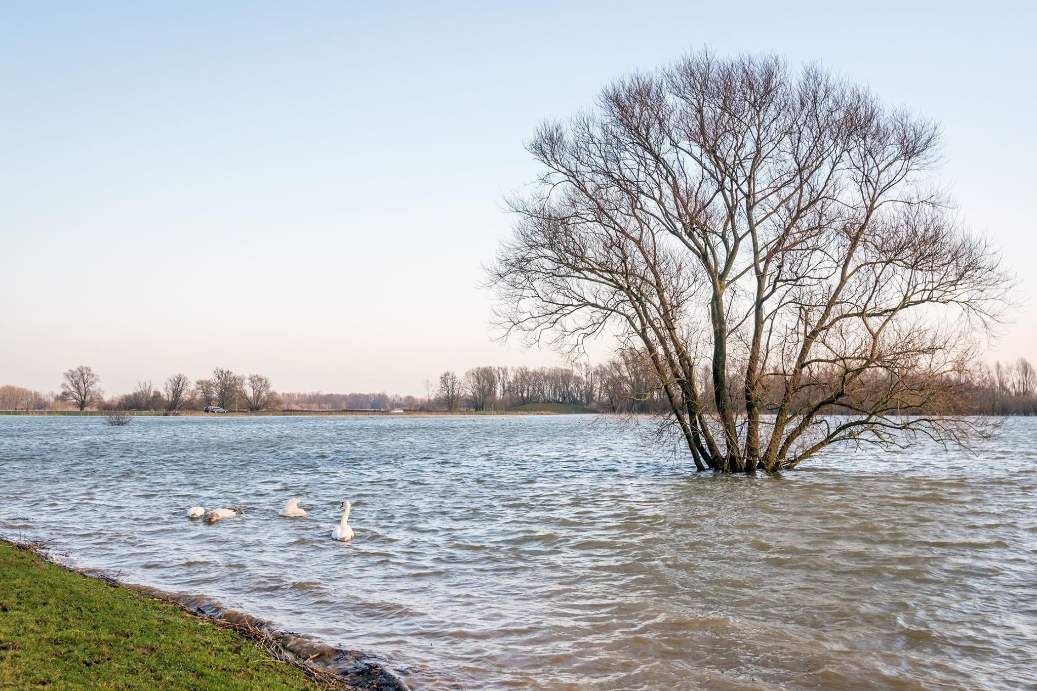 Foto van een waterberging