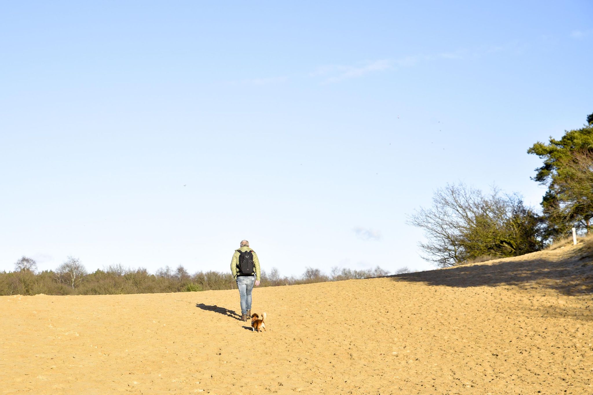 Foto van een man lopend in de duinen