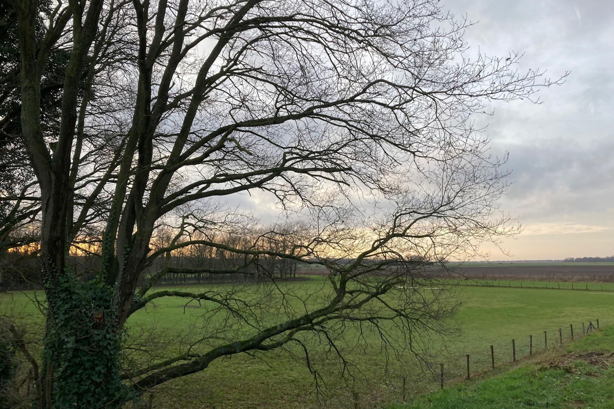 Foto van een landschap in de Gement